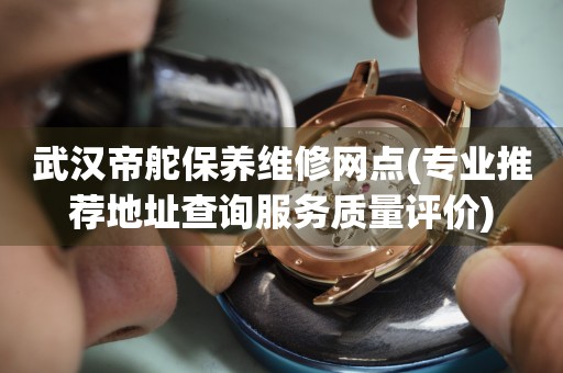 武漢帝舵保養(yǎng)維修網(wǎng)點(diǎn)(專業(yè)推薦地址查詢服務(wù)質(zhì)量評(píng)價(jià))
