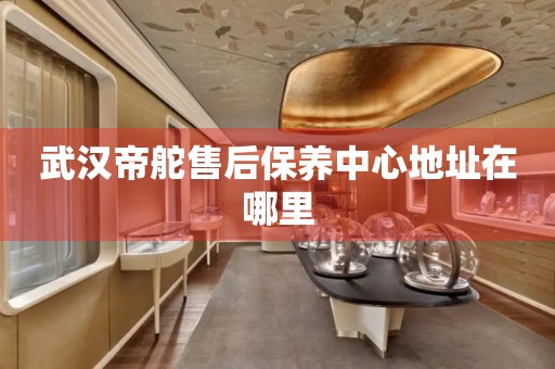 武漢帝舵售后保養(yǎng)中心地址在哪里
