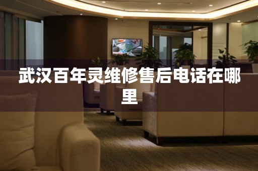 武漢百年靈維修售后電話在哪里