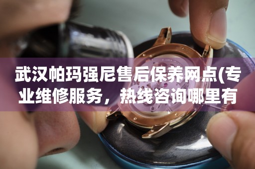 武漢帕瑪強(qiáng)尼售后保養(yǎng)網(wǎng)點(diǎn)(專業(yè)維修服務(wù)，熱線咨詢哪里有)