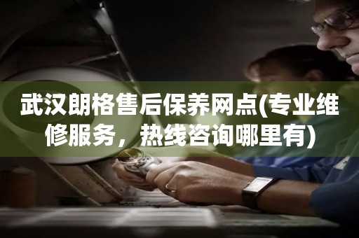 武漢朗格售后保養(yǎng)網(wǎng)點(diǎn)(專業(yè)維修服務(wù)，熱線咨詢哪里有)
