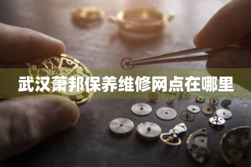 武漢蕭邦保養(yǎng)維修網(wǎng)點在哪里