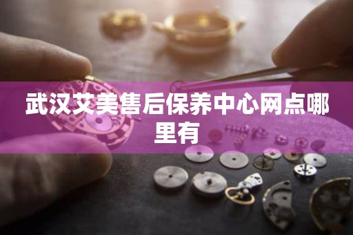 武漢艾美售后保養(yǎng)中心網點哪里有