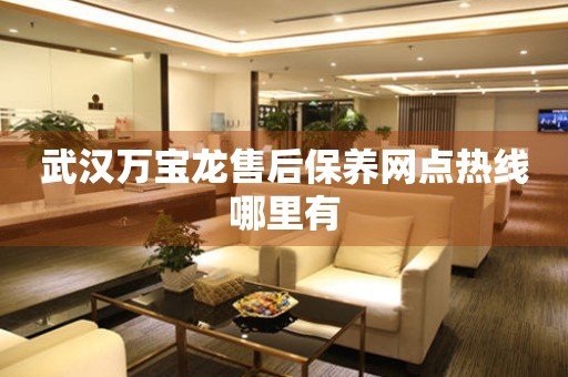 武漢萬寶龍售后保養(yǎng)網(wǎng)點熱線哪里有