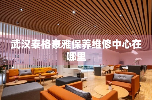 武漢泰格豪雅保養(yǎng)維修中心在哪里