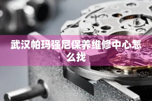 武漢帕瑪強尼保養(yǎng)維修中心怎么找