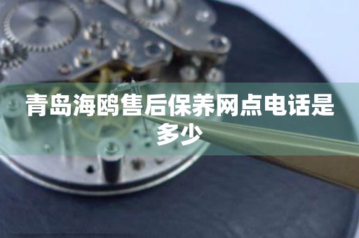 青島海鷗售后保養(yǎng)網(wǎng)點(diǎn)電話(huà)是多少
