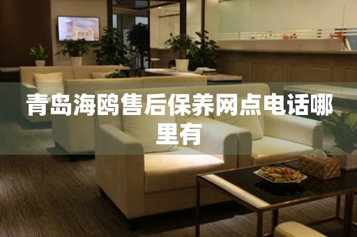 青島海鷗售后保養(yǎng)網(wǎng)點(diǎn)電話(huà)哪里有