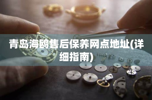 青島海鷗售后保養(yǎng)網(wǎng)點地址(詳細指南)