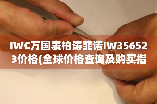 IWC萬國表柏濤菲諾IW356523價格(全球價格查詢及購買指南)