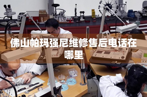 佛山帕瑪強尼維修售后電話在哪里