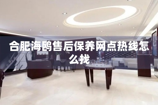 合肥海鷗售后保養(yǎng)網(wǎng)點(diǎn)熱線怎么找