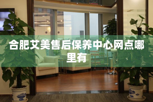 合肥艾美售后保養(yǎng)中心網(wǎng)點(diǎn)哪里有