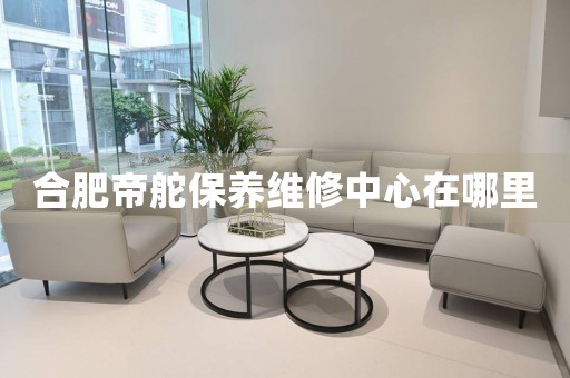 合肥帝舵保養(yǎng)維修中心在哪里