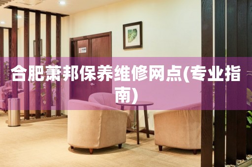 合肥蕭邦保養(yǎng)維修網(wǎng)點(diǎn)(專業(yè)指南)