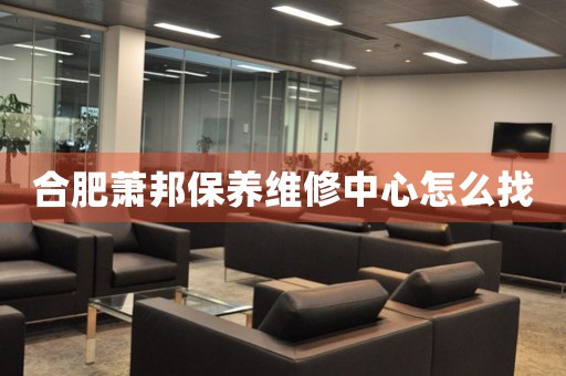 合肥蕭邦保養(yǎng)維修中心怎么找
