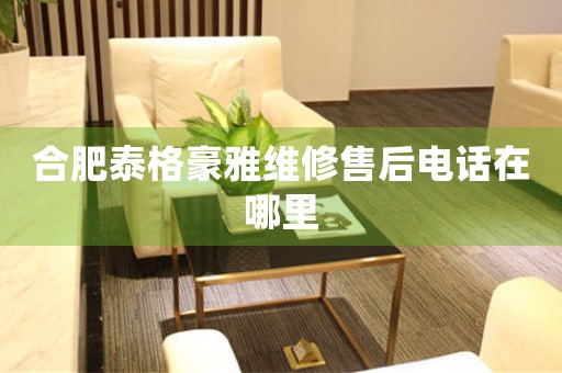 合肥泰格豪雅維修售后電話在哪里