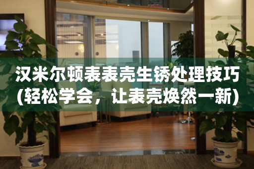 漢米爾頓表表殼生銹處理技巧(輕松學(xué)會，讓表殼煥然一新)