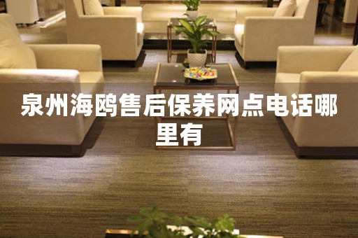 泉州海鷗售后保養(yǎng)網(wǎng)點(diǎn)電話哪里有