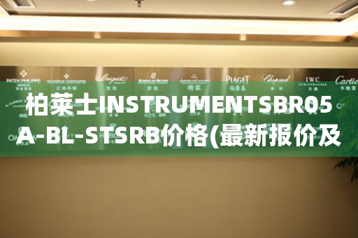 柏萊士INSTRUMENTSBR05A-BL-STSRB價格(最新報價及購買指南)