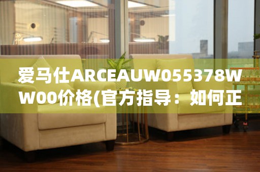 愛馬仕ARCEAUW055378WW00價格(官方指導：如何正確了解愛馬仕ARCEAUW055378WW00的價格)