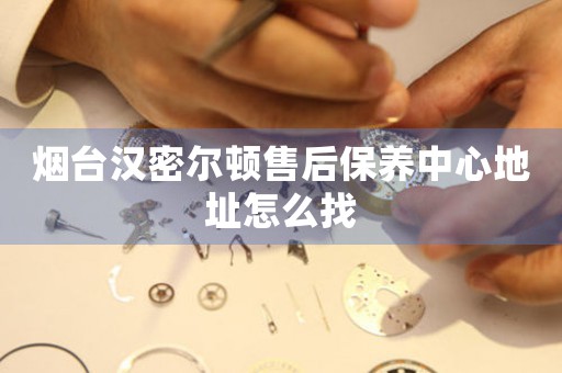 煙臺(tái)漢密爾頓售后保養(yǎng)中心地址怎么找