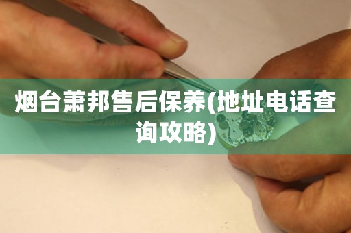 煙臺蕭邦售后保養(yǎng)(地址電話查詢攻略)