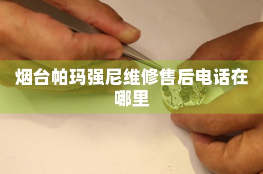 煙臺帕瑪強尼維修售后電話在哪里