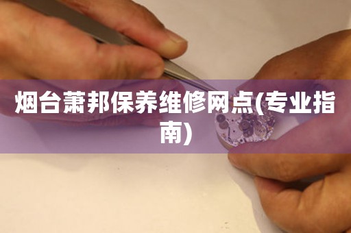 煙臺蕭邦保養(yǎng)維修網(wǎng)點(專業(yè)指南)