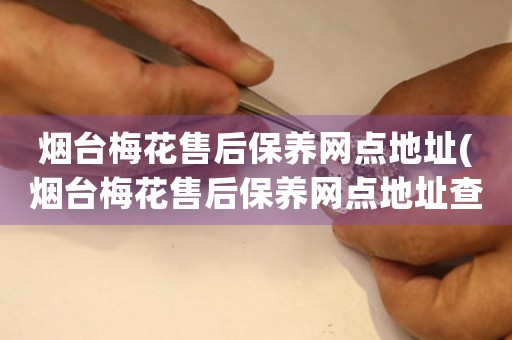 煙臺(tái)梅花售后保養(yǎng)網(wǎng)點(diǎn)地址(煙臺(tái)梅花售后保養(yǎng)網(wǎng)點(diǎn)地址查詢攻略)