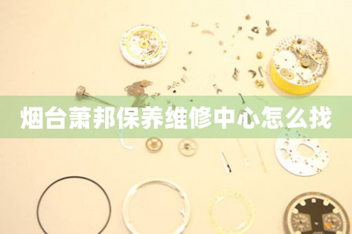 煙臺蕭邦保養(yǎng)維修中心怎么找