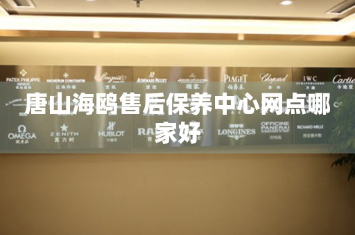 唐山海鷗售后保養(yǎng)中心網(wǎng)點(diǎn)哪家好