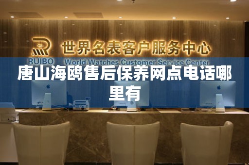 唐山海鷗售后保養(yǎng)網(wǎng)點電話哪里有
