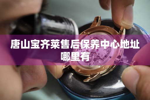 唐山寶齊萊售后保養(yǎng)中心地址哪里有