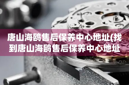 唐山海鷗售后保養(yǎng)中心地址(找到唐山海鷗售后保養(yǎng)中心地址的方法)
