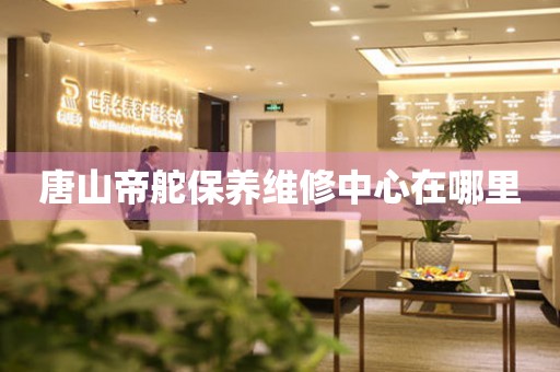唐山帝舵保養(yǎng)維修中心在哪里