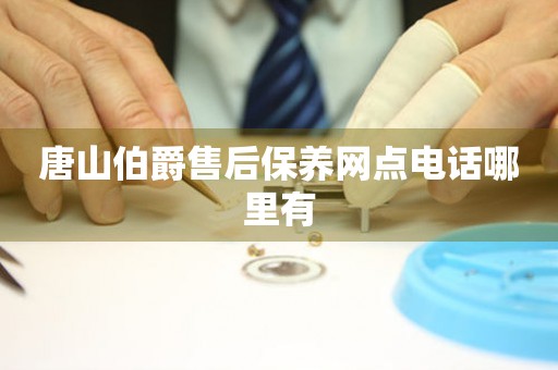 唐山伯爵售后保養(yǎng)網(wǎng)點(diǎn)電話哪里有