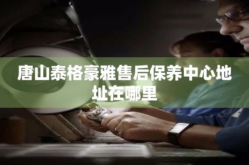 唐山泰格豪雅售后保養(yǎng)中心地址在哪里