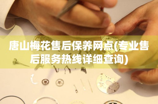 唐山梅花售后保養(yǎng)網(wǎng)點(專業(yè)售后服務(wù)熱線詳細(xì)查詢)