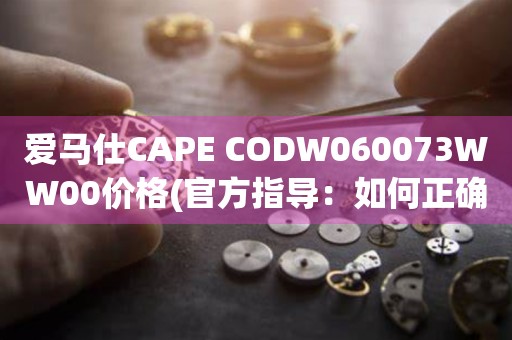 愛馬仕CAPE CODW060073WW00價格(官方指導(dǎo)：如何正確查詢愛馬仕CAPE CODW060073WW00價格)