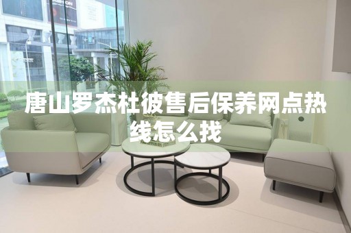 唐山羅杰杜彼售后保養(yǎng)網(wǎng)點熱線怎么找