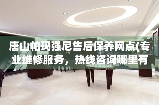 唐山帕瑪強(qiáng)尼售后保養(yǎng)網(wǎng)點(diǎn)(專業(yè)維修服務(wù)，熱線咨詢哪里有)