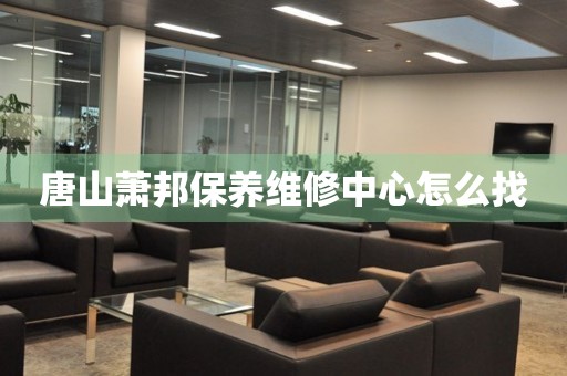 唐山蕭邦保養(yǎng)維修中心怎么找