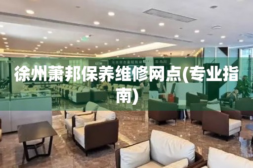 徐州蕭邦保養(yǎng)維修網(wǎng)點(diǎn)(專業(yè)指南)