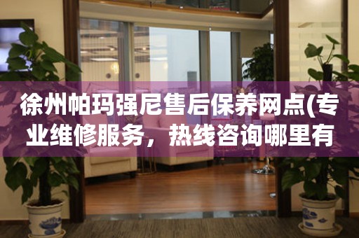 徐州帕瑪強尼售后保養(yǎng)網點(專業(yè)維修服務，熱線咨詢哪里有)
