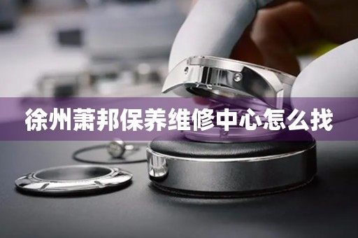 徐州蕭邦保養(yǎng)維修中心怎么找