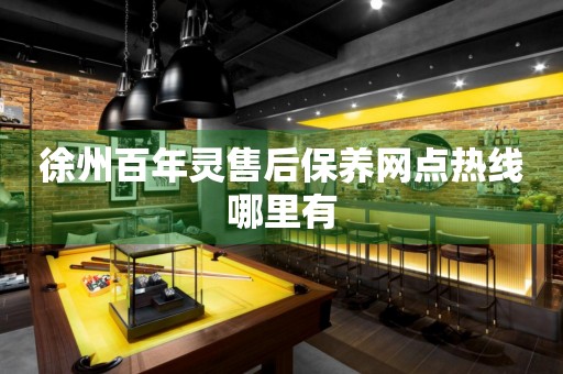 徐州百年靈售后保養(yǎng)網(wǎng)點(diǎn)熱線哪里有