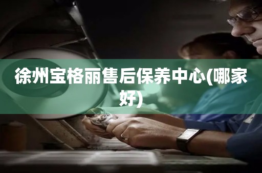 徐州寶格麗售后保養(yǎng)中心(哪家好)