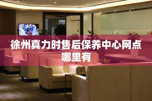 徐州真力時售后保養(yǎng)中心網(wǎng)點哪里有