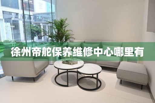 徐州帝舵保養(yǎng)維修中心哪里有